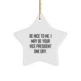 Funny Vice President Star Ornament Gifts from Coworkers to Men, Unique Christmas Unique Gifts for Vice President, Inspirational Star Shaped Decorations - Image 1
